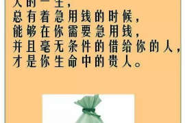 黟县要账公司更多成功案例详情